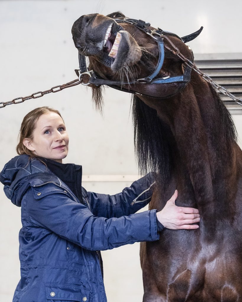 Ravihevosen fysioterapia, Johanna Janatuinen, Corazon Combo